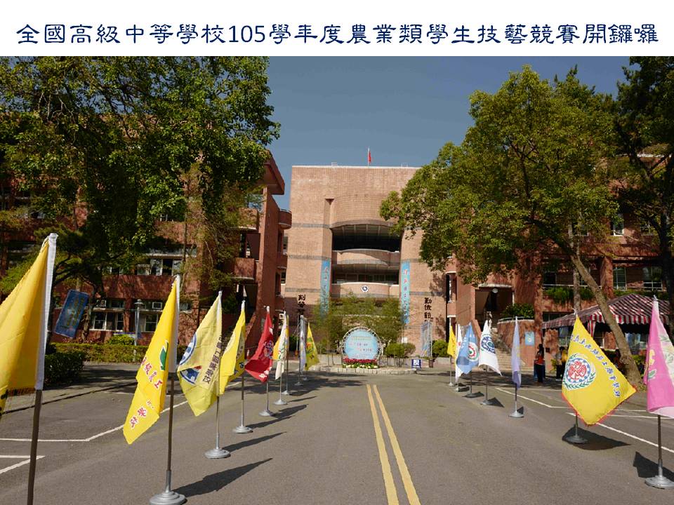 競賽活動剪影 競賽活動剪影