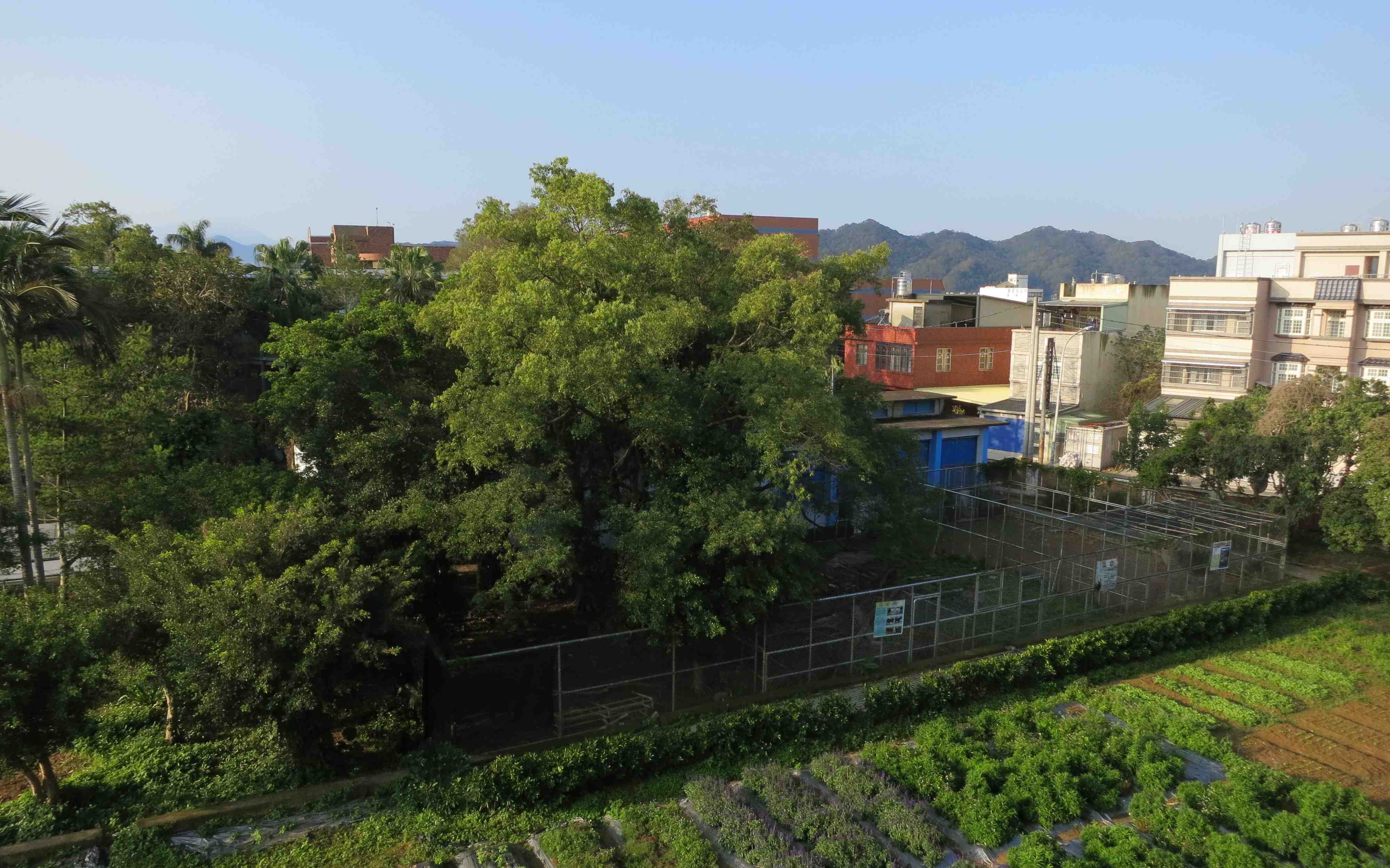 實習場地及設備 實習場地及設備